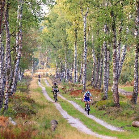 Chalet Op De Veluwe # Linde Putten Ngoại thất bức ảnh