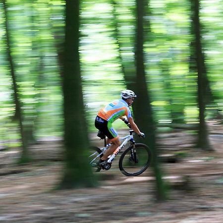Chalet Op De Veluwe # Linde Putten Ngoại thất bức ảnh