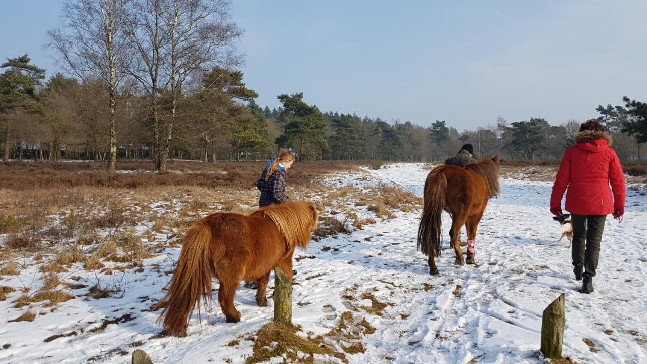 Chalet Op De Veluwe # Linde Putten Ngoại thất bức ảnh