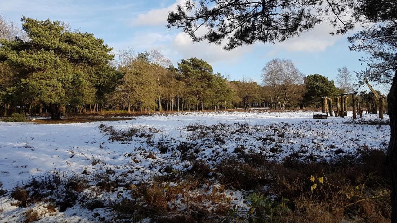 Chalet Op De Veluwe # Linde Putten Ngoại thất bức ảnh