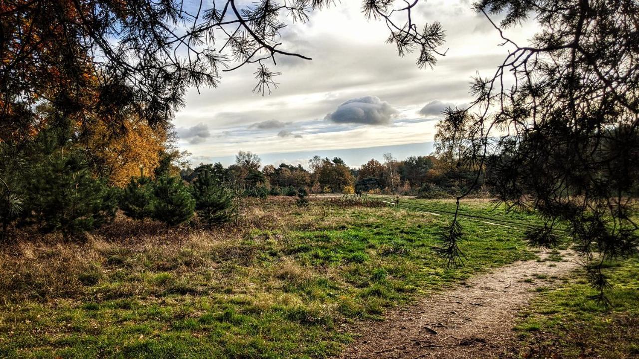 Chalet Op De Veluwe # Linde Putten Ngoại thất bức ảnh