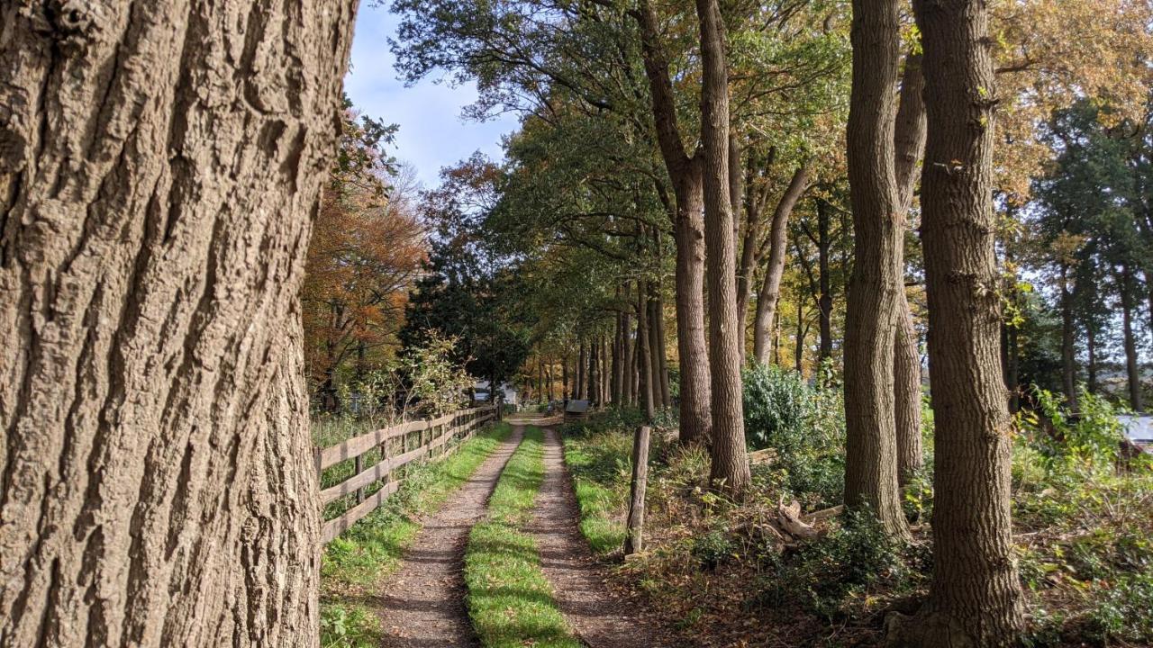 Chalet Op De Veluwe # Linde Putten Ngoại thất bức ảnh