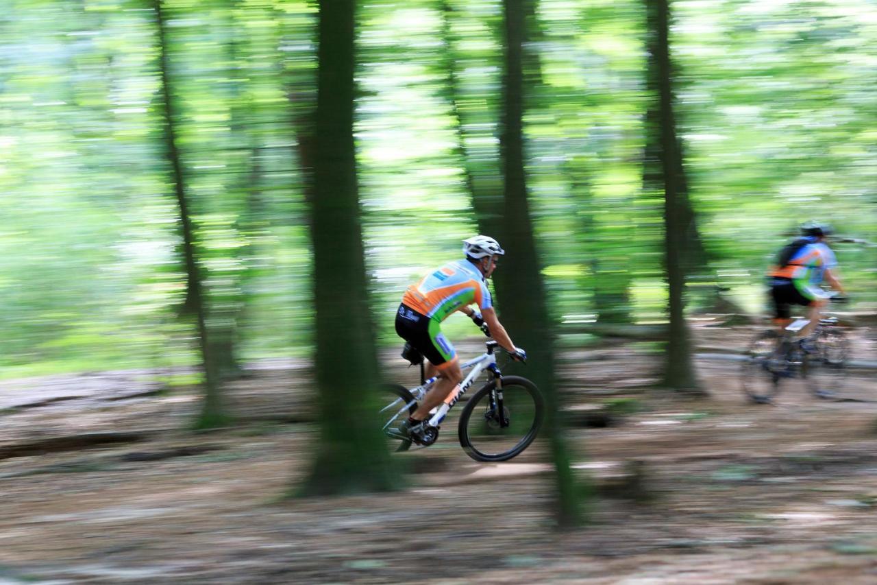 Chalet Op De Veluwe # Linde Putten Ngoại thất bức ảnh