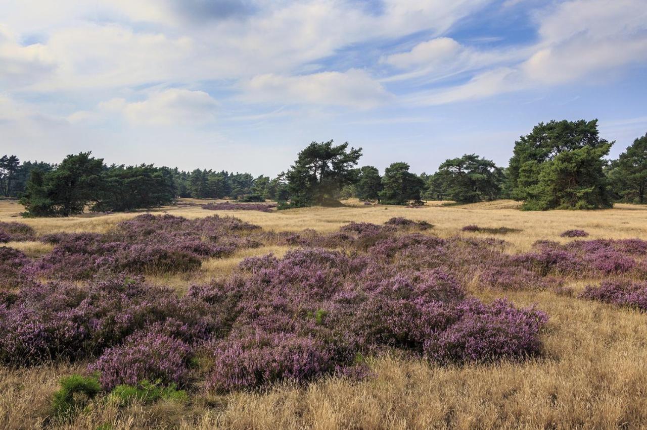 Chalet Op De Veluwe # Linde Putten Ngoại thất bức ảnh